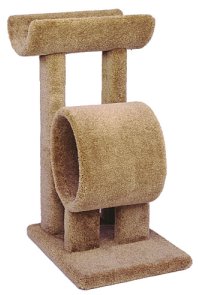 cat climbing tree with tunnel