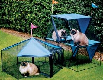 outdoor cat enclosure
